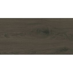 Domino, Pietra Aurera, DOMINO PIETRA AUREA WOOD PŁYTKA ŚCIENNA 30.8X60.8 