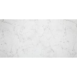 Domino, Lily, DOMINO LILY WHITE PŁYTKA ŚCIENNA 29.8X59.8X1 