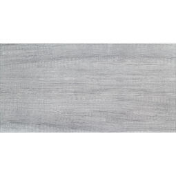 Domino, Malena, DOMINO MALENA GRAPHITE PŁYTKA ŚCIENNA 30.8X60.8 