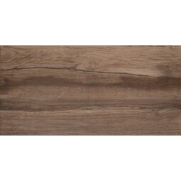 Domino, Moza, DOMINO MOZA BROWN PŁYTKA ŚCIENNA 30.8X60.8 