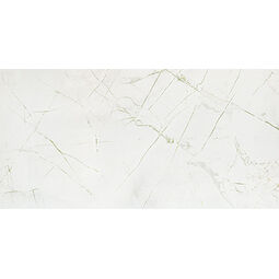 Domino, Rainforest, DOMINO RAINFOREST WHITE GLOSS PŁYTKA ŚCIENNA 59.8X119.8X0.8 
