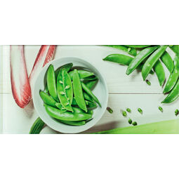 Domino, Visage, DOMINO VISAGE FAGIOLO 3 DEKOR SZKLANY 22.3X44.8 