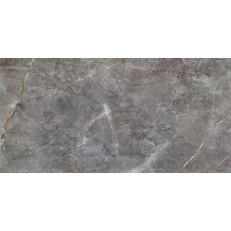 Domino, Visine, DOMINO VISINE GREY GLOSS PŁYTKA ŚCIENNA 59.8X119.8 