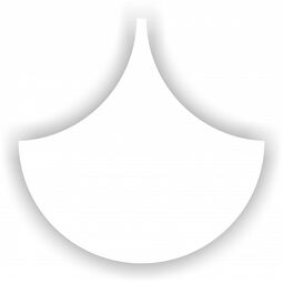 Dunin, Mini Panele 3d, DUNIN WALLSTAR FS-WHITE PANEL ŚCIENNY 25X25X0.3 