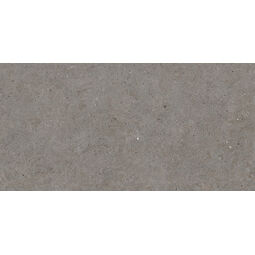 Durstone, Somport, DURSTONE SOMPORT GREY GRES REKTYFIKOWANY 60X120 