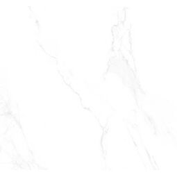 Eco Ceramic, Marshall, ECO CERAMIC MARSHALL WHITE GRES MAT REKTYFIKOWANY 60X60 