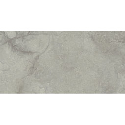 El Molino, Taylor, EL MOLINO TAYLOR GRIS GRES REKTYFIKOWANY 62X120 