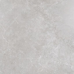 Emigres, Alexia, EMIGRES ALEXIA GRIS GRES LAPPATO REKTYFIKOWANY 80X80 