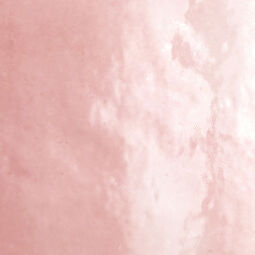 Equipe Ceramicas, Artisan, EQUIPE ARTISAN ROSE MALLOW PŁYTKA ŚCIENNA 13.2X13.2 (24456) 