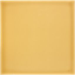 Fabresa, Capsule, FABRESA CAPSULE DIJON PŁYTKA ŚCIENNA 15X15 