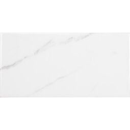 Fabresa, Essentials, FABRESA APENNINES BRILLO S/C PŁYTKA ŚCIENNA 10X20 