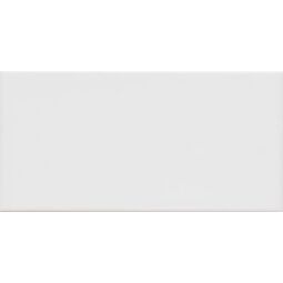 Fabresa, Unicolor, FABRESA PLAQUETA GRIS BRILLO PŁYTKA ŚCIENNA 10X20 