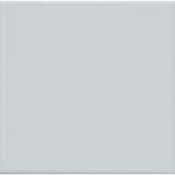 Fabresa, Unicolor, FABRESA UNICOLOR GRIS 221 BRILLO PŁYTKA ŚCIENNA 20X20 