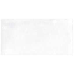 Geotiles, Argon, GEOTILES ARGON BLANCO GRES REKTYFIKOWANY 30X60 