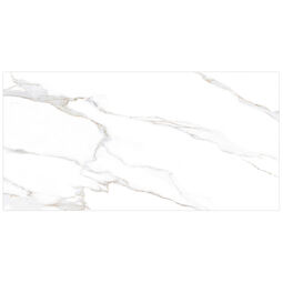 Geotiles, Boreal, GEOTILES BOREAL GOLD GRES REKTYFIKOWANY 60X120 