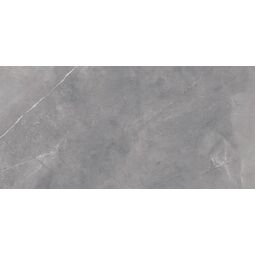 Geotiles, Dagma, GEOTILES DAGMA GRIS GRES REKTYFIKOWANY 60X120 