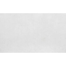 Geotiles, Delhi, GEOTILES DELHI PERLA GLOSSY PŁYTKA ŚCIENNA 33.3X55 