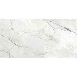 Geotiles, Sauvage, GEOTILES SAUVAGE PEARL GRES REKTYFIKOWANY 60X120 