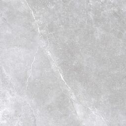 Golden Tile, Space Stone, GOLDEN TILE SPACE STONE GREY GRES REKTYFIKOWANY 60X60 