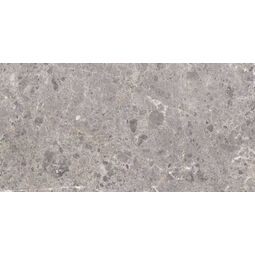 Grespania, Artic, GRESPANIA ARTIC GRIS GRES REKTYFIKOWANY 60X120 