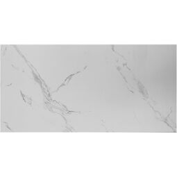 Halcon, Naos, HALCON NAOS BLANCO MATE GRES REKTYFIKOWANY 60X120 