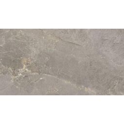 Halcon, Tempo, HALCON TEMPO ASH GRES POLER REKTYFIKOWANY 60X120 