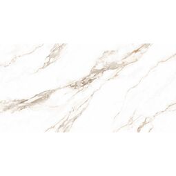 Import, Ferrol, IMPORT FERROL WHITE MATT+ CARVING REKTYFIKOWANY 60X120 