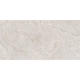 Import, Italica, IMPORT TESLA GREY MATT+ CARVING REKTYFIKOWANY 60X120 