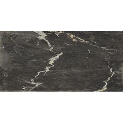 La Fenice, Antique, LA FENICE ANTIQUE AUREA NERO TRASTEVERE GRES 60X120 