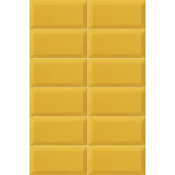 Mainzu Ceramica, Bissel, MAINZU CERAMICA BISSEL TIGER PŁYTKA ŚCIENNA 10X20 