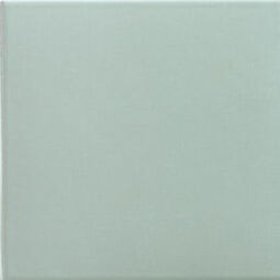 Mainzu Ceramica, Technical Soft, MAINZU CERAMICA TECHNICAL ALOE GRES 20X20 