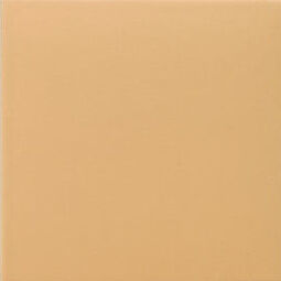 Mainzu Ceramica, Technical Soft, MAINZU CERAMICA TECHNICAL TANGERINE GRES 20X20 