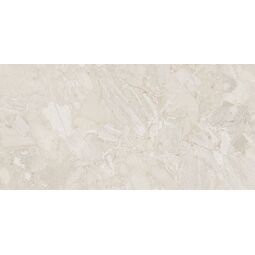 Maxibox, Aarchid, MAXIBOX AARCHID MUD POLISHED 60X120 