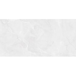 Maxibox, Alaska, MAXIBOX ALASKA GREY LIGHT POLISHED 60X120 