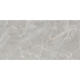 Maxibox, Olivia, MAXIBOX OLIVIA GREY POLISHED 60X120 