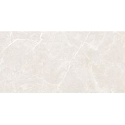 Maxibox, Olivia, MAXIBOX OLIVIA SILVER POLISHED 60X120 