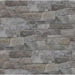 Maxstone, Castello, MAXSTONE CASTELLO NSE ARGENTO KAMIEŃ ELEWACYJNY 56X22X2.2 