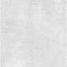 Nowa Gala, Avenida, NOWA GALA AVENIDA AV 10 GRES REKTYFIKOWANY JASNOSZARY 59.7X59.7 