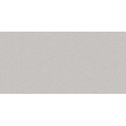 Nowa Gala, Monolight, NOWA GALA MONOLIGHT GREY GRES REKTYFIKOWANY 29.7X59.7 