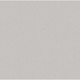 Nowa Gala, Monolight, NOWA GALA MONOLIGHT GREY GRES REKTYFIKOWANY 59.7X59.7 