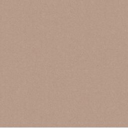 Nowa Gala, Monolight, NOWA GALA MONOLIGHT MOCCA GRES REKTYFIKOWANY 59.7X59.7 