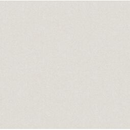 Nowa Gala, Monolight, NOWA GALA MONOLIGHT WHITE GRES REKTYFIKOWANY 59.7X59.7 