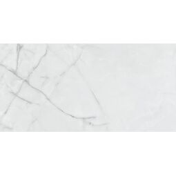 Pamesa Ceramica, Gelsa, PAMESA CERAMICA GELSA PERLA GRES LEVIGLASS REKTYFIKOWANY 60X120 