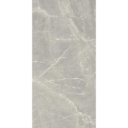 Paradyż, Afternoon, PARADYŻ AFTERNOON GRYS PŁYTKA ŚCIENNA 29.8X59.8 