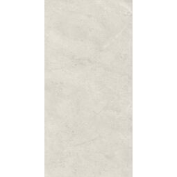 Paradyż, Afternoon, PARADYŻ AFTERNOON SILVER PŁYTKA ŚCIENNA 29.8X59.8 