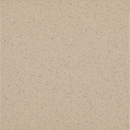 Paradyż, Bazo, PARADYŻ BAZO BEIGE GRES SÓL-PIEPRZ MAT 19.8X19.8 