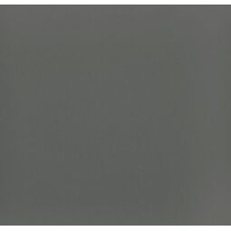 Paradyż, Bazo, PARADYŻ BAZO GRYS GRES MONOKOLOR GR.13MM 19.8X19.8 