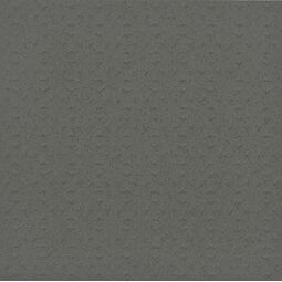 Paradyż, Bazo, PARADYŻ BAZO GRYS GRES SÓL-PIEPRZ GR.13MM STRUKTURA 19.8X19.8 