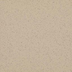 Paradyż, Bazo, PARADYŻ BAZO BEIGE GRES SÓL-PIEPRZ GR.13MM R9 19.8X19.8 