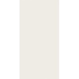 Paradyż, Calm, PARADYŻ CALM SILVER POŁYSK DEKOR 29.8X59.8 